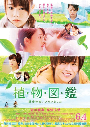 Evergreen.Love.2016.720p.BluRay.x264-WiKi