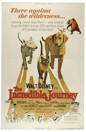 一猫二狗三分亲 The Incredible Journey (1963)
