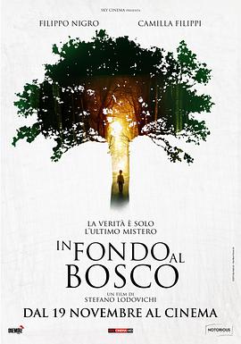 Deep.in.the.Wood.2015.ITALIAN.1080p.BluRay.H264.AAC-VXT