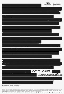冷眼杀人 Cold Case Hammarskjöld (2019)