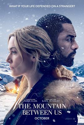 The.Mountain.Between.Us.2017.2160p.UHD.BluRay.x265.10bit.HDR.DDP5.1-RARBG
