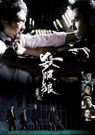 .720p.杀破狼1
