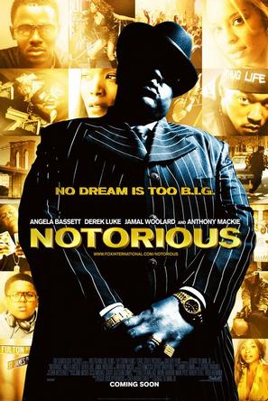 Notorious.2009.Bluray.1080p.DTSHD.x264-CHD