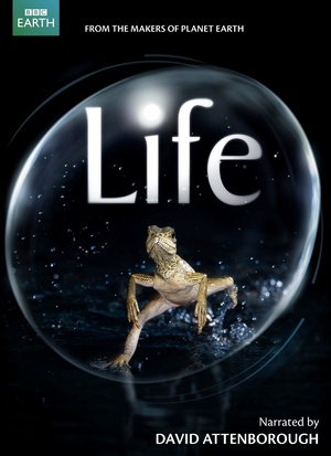 生命 Life (2009)