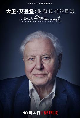 David.Attenborough.A.Life.on.Our.Planet.2020.2160p.NF.WEBRip.DDP5.1.x265-NTb