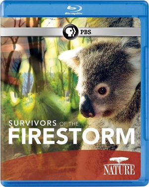 Nature.Survivors.of.the.Firestorm.2011.1080p.BluRay.x264-SADPANDA