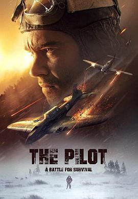 The Pilot A Battle for Survival.2022.BRRip.XviD.AC3-EVO[TGx]