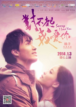 对不起，我爱你 对不起，我爱你 (2013)
