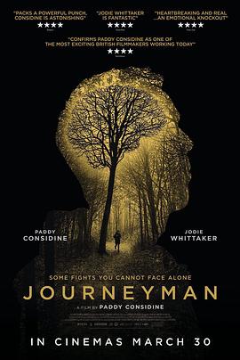 Journeyman.2017.1080p.BluRay.x265-RARBG