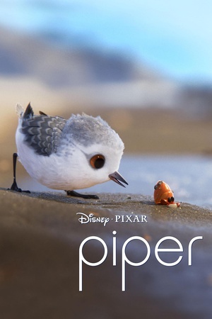 Piper.2016.INTERNAL.1080p.BluRay.x264-HDEX