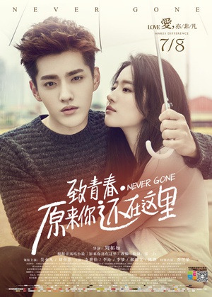 致青春·原来你还在这里 致青春·原来你还在这里 (2016)