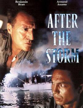 After.The.Storm.2001.1080p.WEBRip.x265-RARBG[TGx]