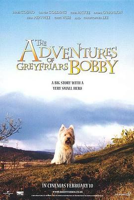The.Adventures.of.Greyfriars.Bobby.2005.1080p.WEBRip.x265-RARBG