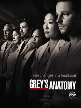 实习医生格蕾 第七季 Grey's Anatomy (2010)