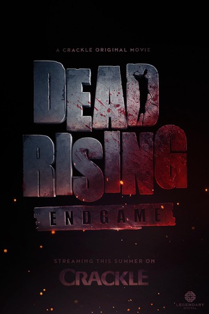 Dead.Rising.Endgame.2016.1080p.WEBRip.x264.AAC2.0-FGT