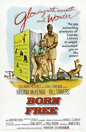 Born Free(1966) Adventure Family mp4 [coaster]