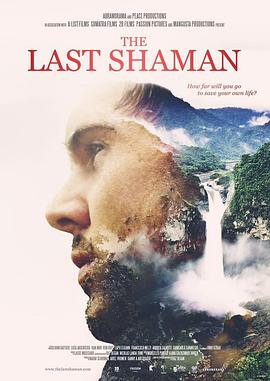 The.Last.Shaman.2016.1080p.WEBRip.x265-RARBG