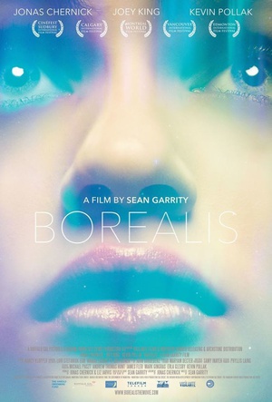 去看北极光 Borealis (2016)