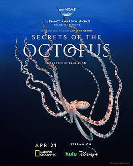 Secrets.of.the.Octopus.S01E01.1080p.x265-ELiTE [Saturn5]