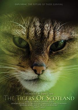 THE TIGERS OF SCOTLAND THE TIGERS OF SCOTLAND (2017)