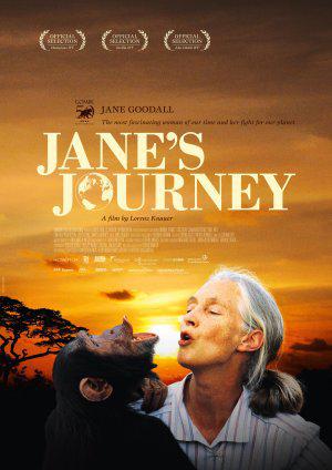 真爱旅程 Jane's Journey (2010)