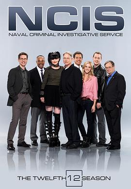 NCIS.S12.1080p.WEBRip.x265-INFINITY