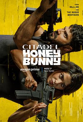 Citadel.Honey.Bunny.S01.ITA.HIN.1080p.AMZN.WEB-DL.DDP5.1.H.264-MeM.GP