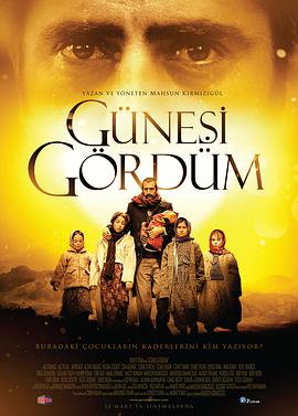 I.Saw.the.Sun.2009.1080p.BluRay.x264-USURY