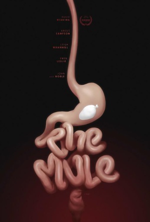 The.Mule.2014.RERIP.1080p.BluRay.X264-CADAVER