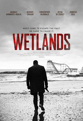 Wetlands.2017.1080p.WEB-DL.DD5.1.H264-CMRG