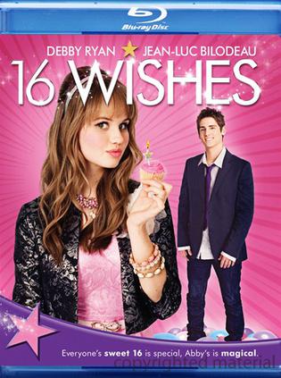 十六个愿望 16 Wishes (2010)
