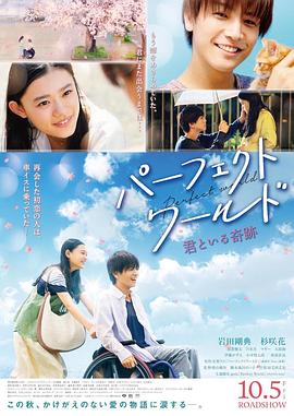 Perfect.World.2018.JAPANESE.1080p.BluRay.x264.DTS-WiKi