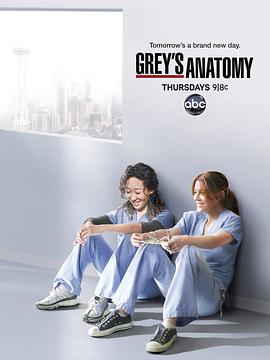 实习医生格蕾 第八季 Grey's Anatomy (2011)