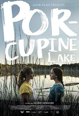 Porcupine.Lake.2018.HDRip.XviD.AC3-EVO[TGx]