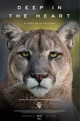 Deep.in.the.Heart.A.Texas.Wildlife.Story.2022.720p.WEBRip.800MB.x264-GalaxyRG