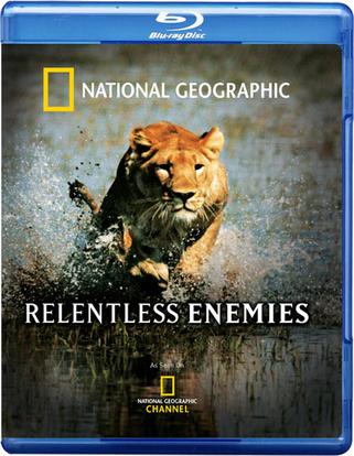 国家地理：冷酷宿敌 Relentless Enemies (2006)