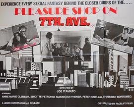 第七大道的色情商店 (1979)