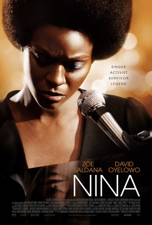 Nina.2016.1080p.BluRay.x264.DTS-HD.MA.5.1-FGT