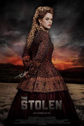 被窃之物 The Stolen (2016)