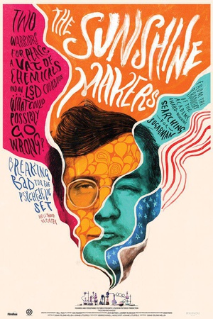 The.Sunshine.Makers.2015.720p.WEB-DL.DD5.1.H264-FGT