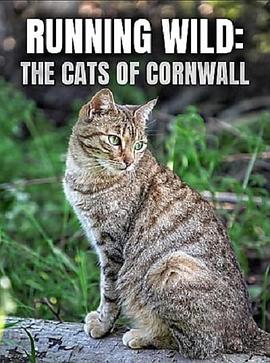 Running.Wild.The.Cats.of.Cornwall.2020.720p.BluRay [YTS.MX]