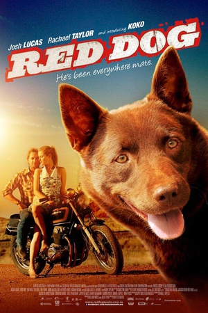 Red.Dog.2011.1080p.BluRay.x265-RARBG