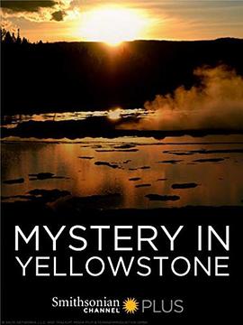 Mystery.in.Yellowstone.2015.1080p.WEBRip.x265-RARBG