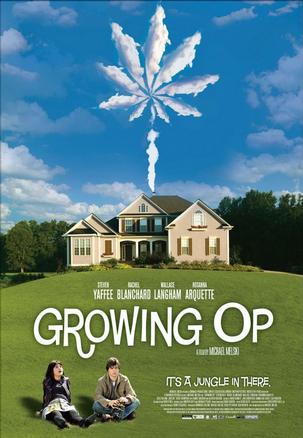 我家种大麻 Growing Op (2008)