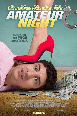 Amateur.Night.2016.720p.WEB-DL.XviD.AC3-FGT
