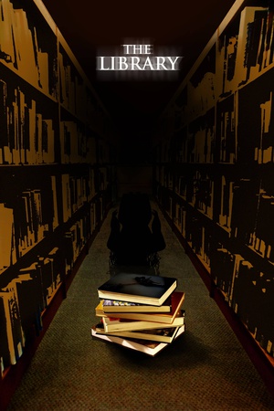 the library the library (2013)