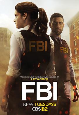 FBI.S08E04.XviD-AFG.EZTV