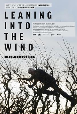 倾向于风 Leaning Into the Wind: Andy Goldsworthy (2017)